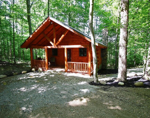 Cozy Cub Cabin