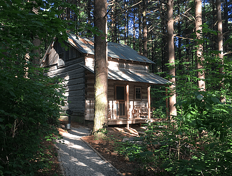 Green Cabin